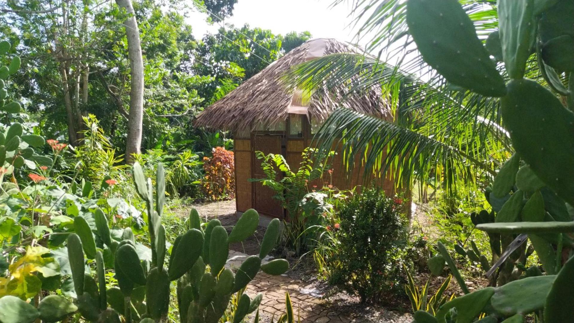 Little Nomads Eco-Guesthouse Siquijor Pokoj fotografie